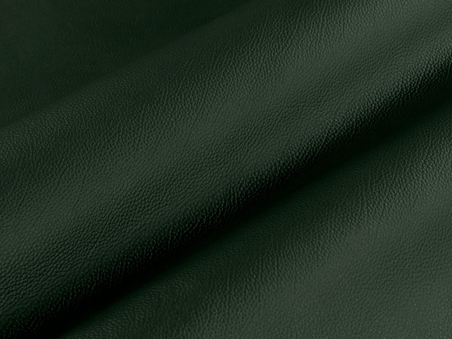 TANGO collection