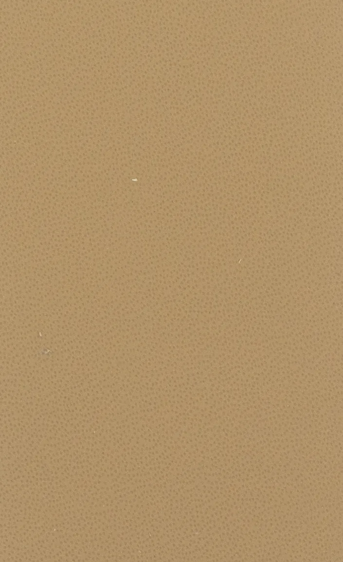 BM 8320 SG BUCKSKIN material