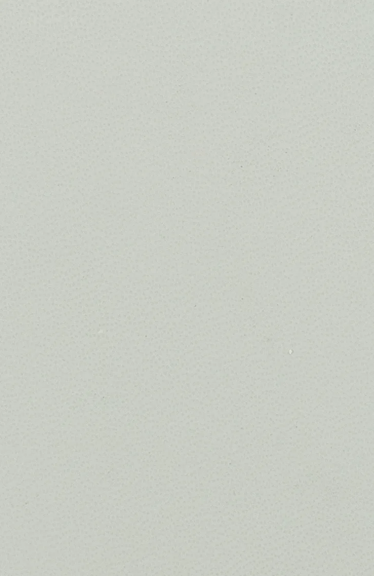 JLR 7452 N LIGHT OYSTER material