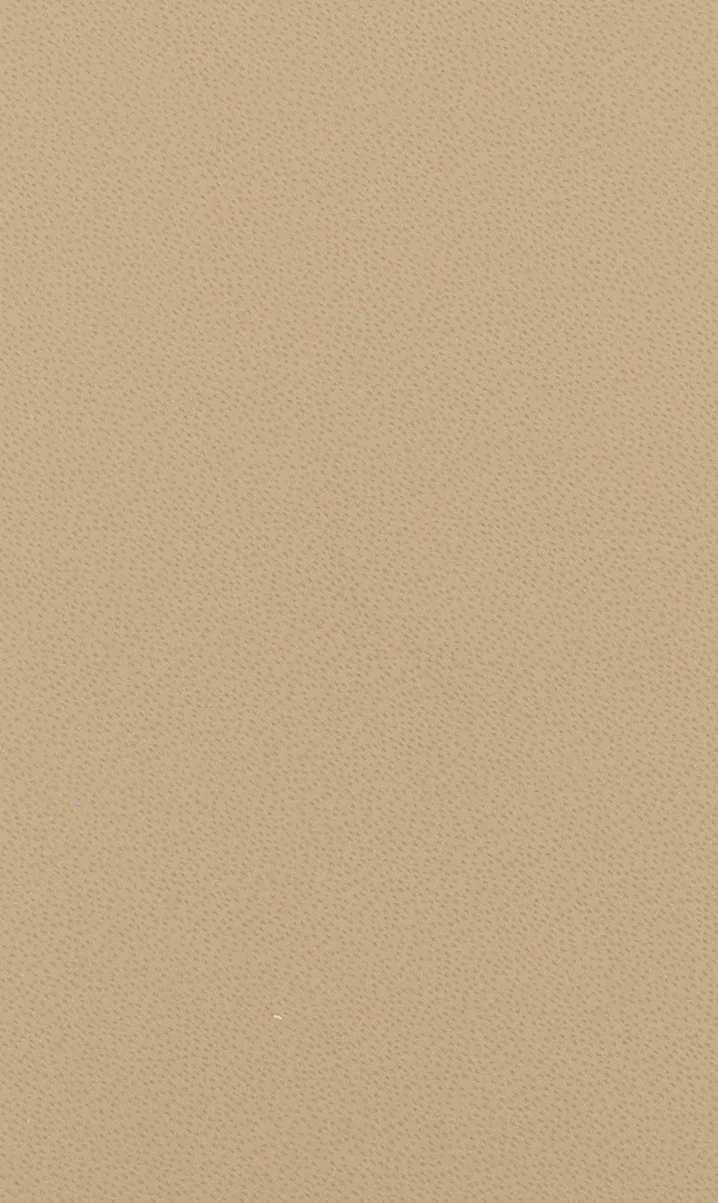 PO 3531 N LUXOR BEIGE material