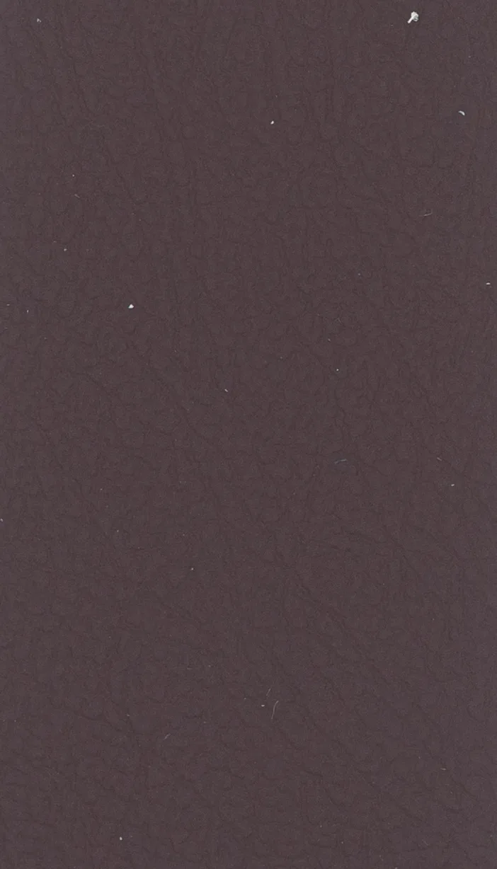 PARIGI 4011 P MITTEL ROT material