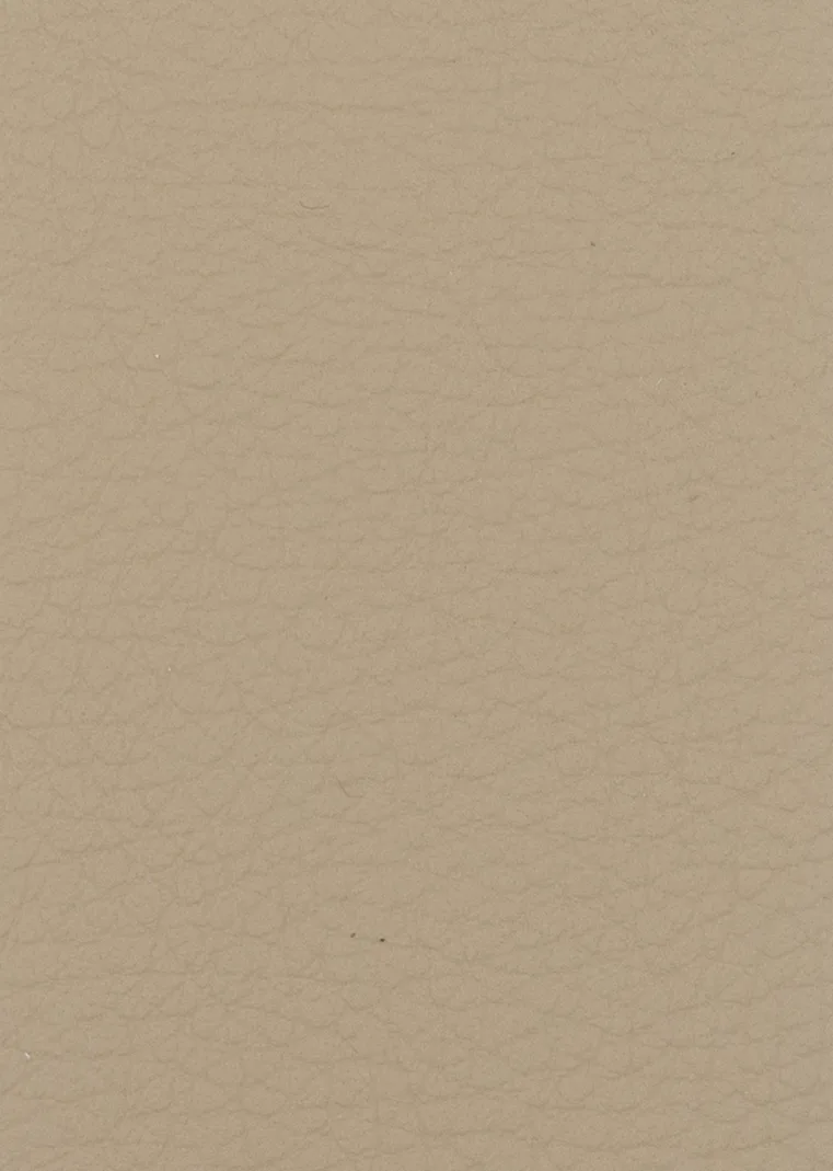 DAKOTA 8222 D ZAGORA BEIGE material
