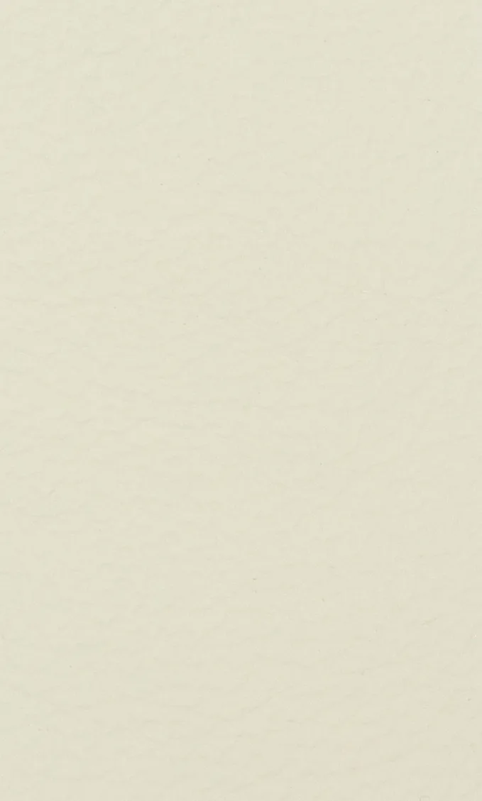 CATANIA 1911 C KIESEL BEIGE material